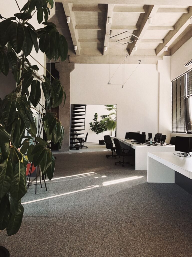 Open office with desks, chairs and indoor plants (illustrative stock image)